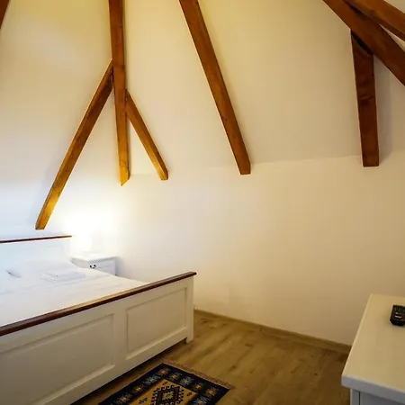 Πανσιόν Casa Berg Vişeu de Sus