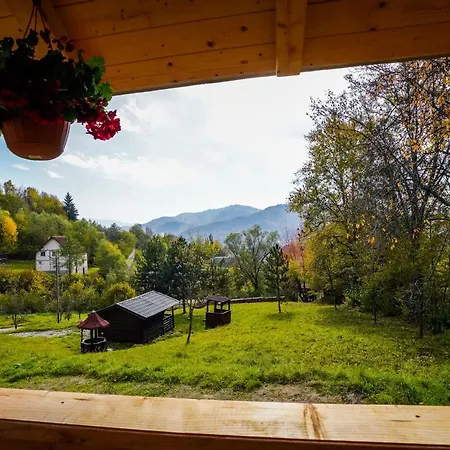 Casa Berg Πανσιόν Vişeu de Sus