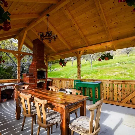 Casa Berg Πανσιόν Vişeu de Sus