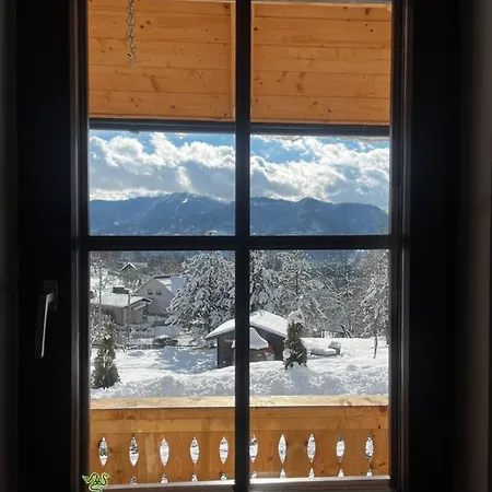 Casa Berg 3* Vişeu de Sus