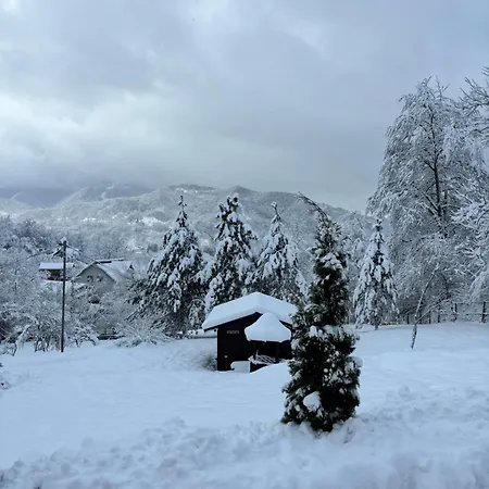 Casa Berg Vişeu de Sus